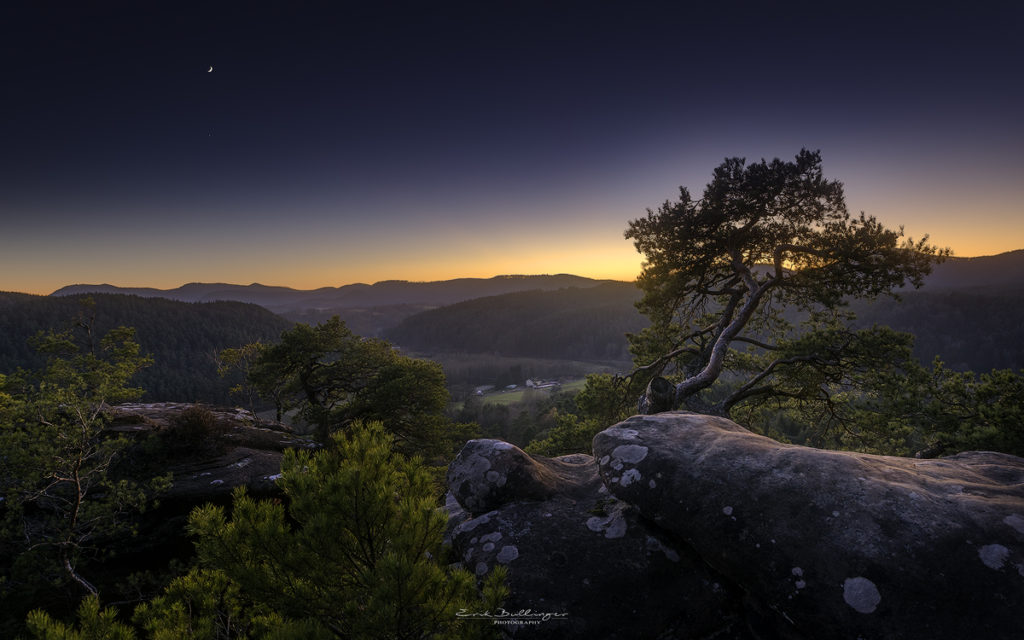 Sonnenuntergang im Pfälzerwald